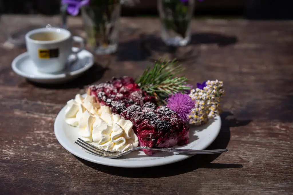 Fetta di torta di ricotta ai frutti di bosco con panna montata e caffè, servita alla Malga Contrin in Val di Contrin